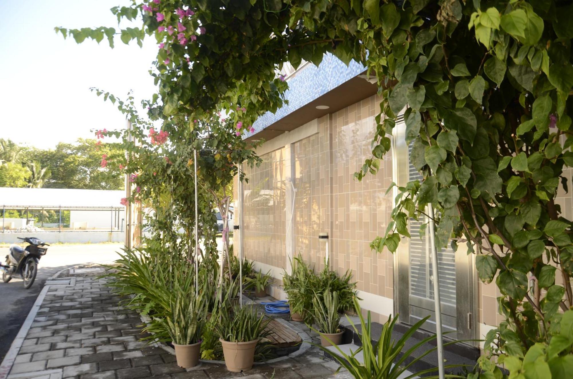 Isle Inn Guesthouse Fuvahmulah Exterior foto